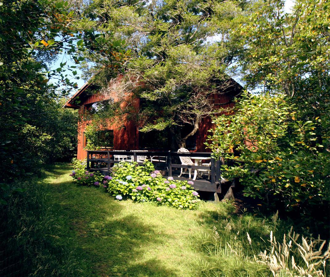 Cabanas Natural Park Lodge Pucón Exterior foto